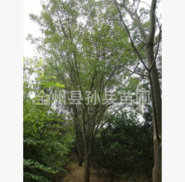 QQ截图20171127140108