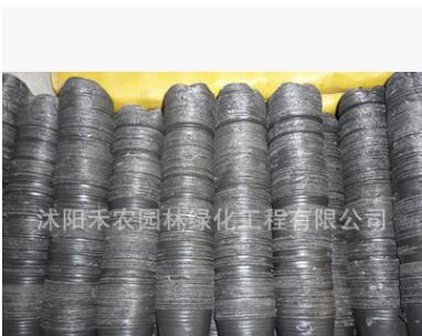 大量供应防老化园林农用营养钵营养杯育苗盆批发图3