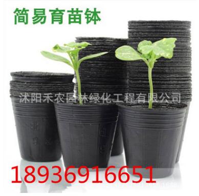 大量供应防老化园林农用营养钵营养杯育苗盆批发图2