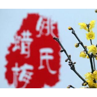 第七届鄢陵蜡梅梅花文化节将于1月22日举行