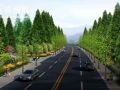 郑州市惠济区清华园路（新城路-天元路）道路绿化提升工程招标公告
