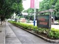 元阳县多沙公路绿化工程竞争性谈判公告