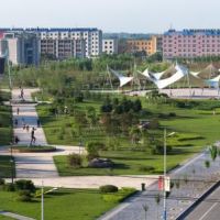 镇赉经济开发区众合路两侧绿化土方工程施工招标公开招标公告