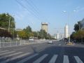 舞钢市产业集聚区道路两侧及局部绿化工程（纬二路、经六路、9#支路）项目招标公告