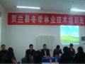 贺兰县林业局2018年春秋季城乡造林绿化工程苗木采购项目（项目一）公开招标公告