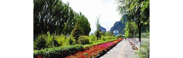张掖市甘州区园林绿化局2018年新建道路绿化工程公开招标公告