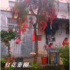 红花垂柳，俗名叫做串钱柳。为什么叫做串钱柳？它的树形和枝条，