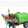 农用推车式打药机厂家 多功能推车式打药机型号 果树打药机