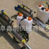 家用脉冲动力弥雾机设备 双管果树打药机型号
