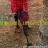 厂家直销大马力汽油挖树机 链条式挖树机