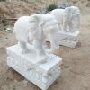 石雕大象汉白玉小象招财辟邪石头大象风水摆件大理石象一对可定制