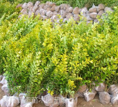 TIM截图20180529142340