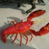 汇泽龙虾雕塑海洋生物玻璃钢仿真大龙虾螃蟹座椅龙虾餐厅迎宾