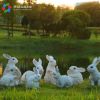 户外仿真动物树脂兔子摆件园林景观小品雕塑田园庭院花园装饰品
