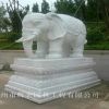 厂家供应石雕大象 石雕汉白玉大象 石雕喷水大象