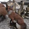 户外仿真小狐狸摆件 卡通动物花园林景观雕塑 树脂公园庭院装饰品
