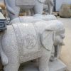 天然大理石花岗岩石雕大象室外园林门口摆件装饰招财石材大象