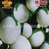 阳台专用观赏茄子小白茄子 鸡蛋茄 约20粒