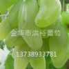 土壤含水量对浙江葡萄苗生长的影响