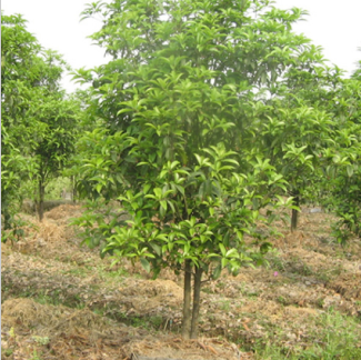 TIM截图20180702153838