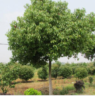 TIM截图20180702154342