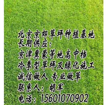 北京草坪 北京草坪销售 北京草坪价格 北京草坪厂家