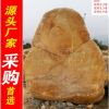 厂家直销深圳韶关大型黄蜡石，黄腊石假山石料，刻字石