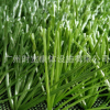 广州运动足球场专用地毯人工草皮人造草塑料人工假草坪环保经久耐