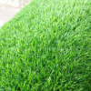 西安 草地毯 加密25MM春草 阳台绿植 草皮