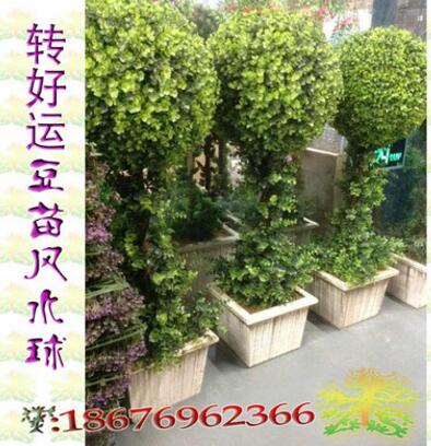 仿真植物风水球盆景客厅玄关屏风隔断1.6米绿植园林景观装饰