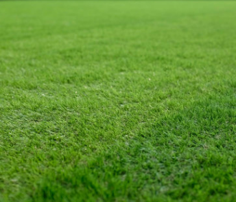绿城 仿真草坪地毯垫子室内户外塑料人工草坪20mm汉斯绿草塑料草