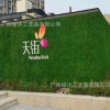 仿真植物墙绿植墙配材装饰金钱叶尤加利假草坪厂家直销简易草皮