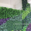 仿真植物墙配材室内外绿植墙人造草墙厂家直销袖珍椰子米兰鸭脚木