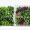 批发仿真植物墙绿植墙装饰假草坪草皮加密米兰尤加利商场绿化