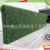 加密米兰草皮仿真植物墙 立体绿化植物装饰墙 酒店室内外装饰布置