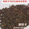 批发灌木种子- 胡枝子100%保证发芽率