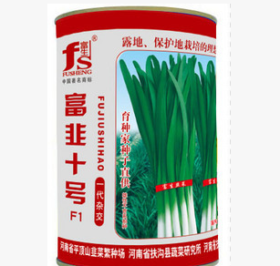蔬菜种子 富生韭菜 富韭十号韭菜种子 叶片肥厚高产耐高温500g/盒