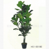 仿真绿植盆栽 琴叶榕 室内绿植摆放小树琴叶橡皮树 家居酒店摆放