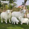 花园庭院装饰品树脂工艺品园林景观雕塑动物模型大号仿真绵羊摆件