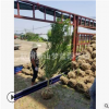 木槿 冠幅30-200公分 盆栽 地栽苗 灌木 庭院 公园 红花 萧山苗