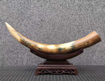 天然猛犸象牙摆件 原料牙尖原牙横摆 猛犸厂家