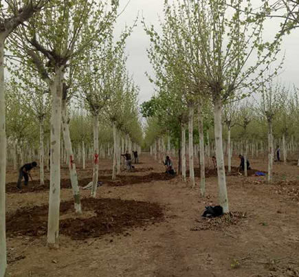 QQ截图20180822111610