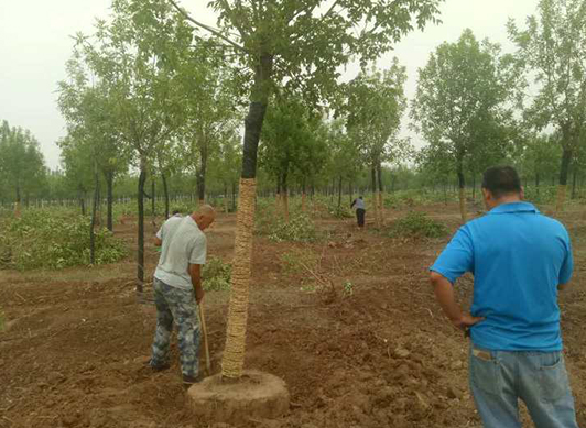 QQ截图20180822111817