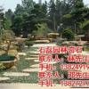 石磊园林景观(在线咨询),广东石,青石批发
