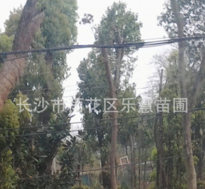 QQ截图20180828112014