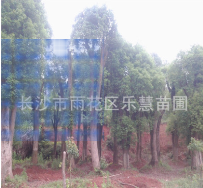QQ截图20180828111941