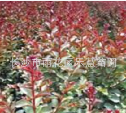 QQ截图20180828150011