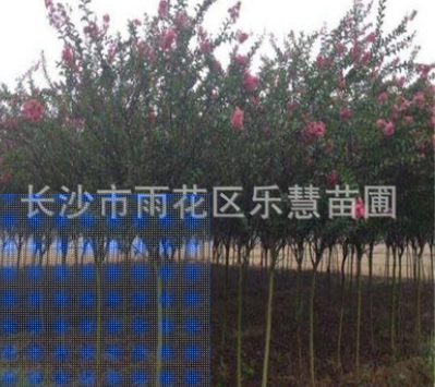 QQ截图20180828150022