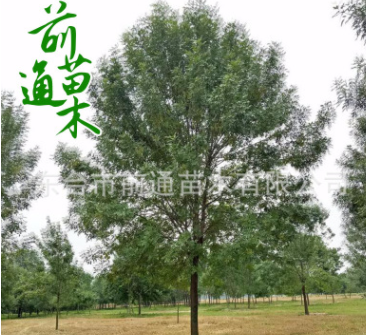 QQ截图20180829150604