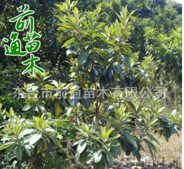 QQ截图20180829152713